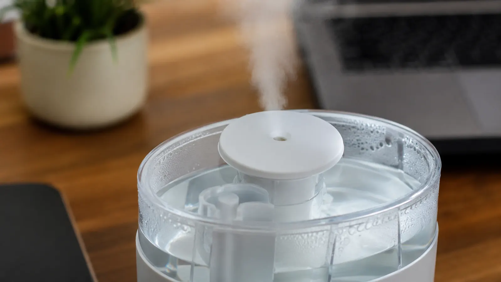 Close-up of the water tank and mist nozzle of a small desk humidifier showing the mineral buildup ring near the waterline